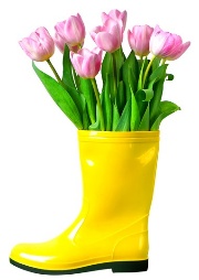 A yellow boot with pink flowers
AI-generated content may be incorrect.